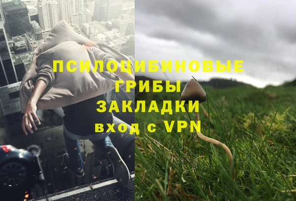 каннабис Алзамай