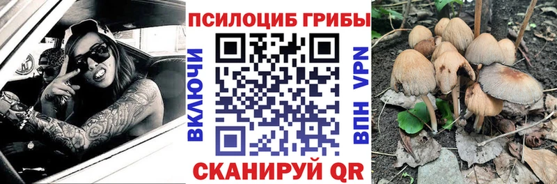 наркота  Котлас  Галлюциногенные грибы ЛСД 
