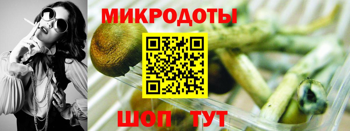 Псилоцибиновые грибы мухоморы  Вход с VPN  Котлас  Галлюциногенные грибы GOLDEN TEACHER 